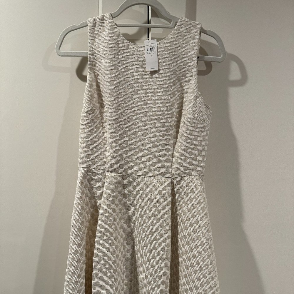 Anne Taylor Flare Dress NWT